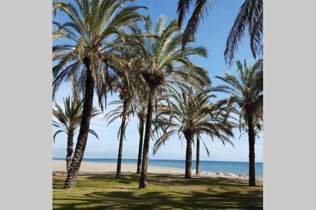 Apartamento Minerva Jupiter. The Perfect Accommodation For Your Vacation 베날마데나코스타 외부 사진